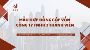 mau-hop-dong-gop-von-cong-ty-tnhh-2-thanh-vien