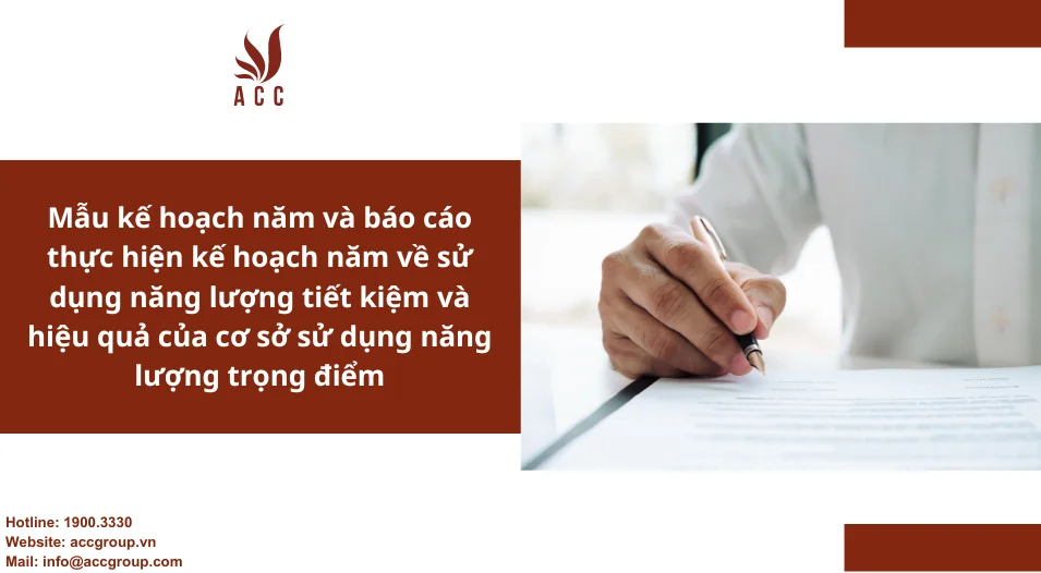 Mẫu kế hoạch năm và báo cáo thực hiện kế hoạch năm về sử dụng năng lượng tiết kiệm và hiệu quả của cơ sở sử dụng năng lượng trọng điểm