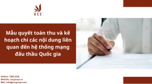 mau-quyet-toan-thu-va-ke-hoach-chi-cac-noi-dung-lien-quan-den-he-thong-mang-dau-thau-quoc-gia