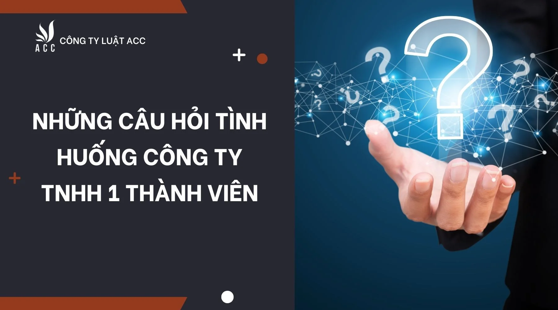 Những câu hỏi tình huống công ty TNHH 1 thành viên