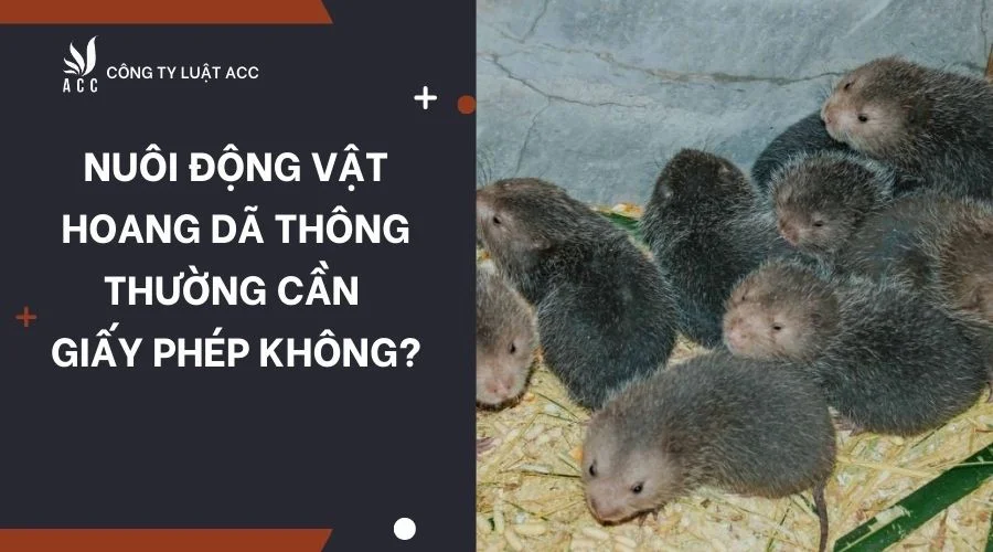 nuoi-dong-vat-hoang-da-thong-thuong-can-giay-phep-khong