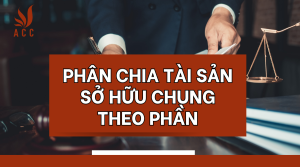 phan-chia-tai-san-so-huu-chung-theo-phan