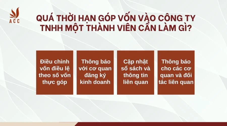 Quá thời hạn góp vốn vào công ty TNHH một thành viên cần làm gì?