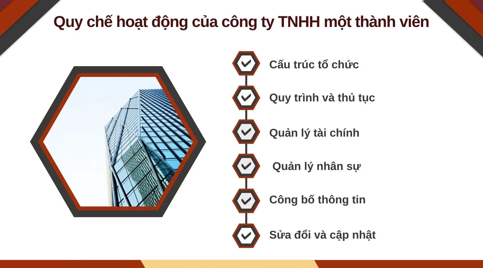  Quy chế hoạt động của công ty TNHH một thành viên