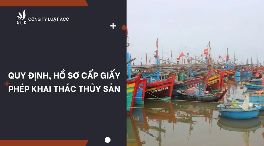 Quy định, hồ sơ cấp giấy phép khai thác thủy sản