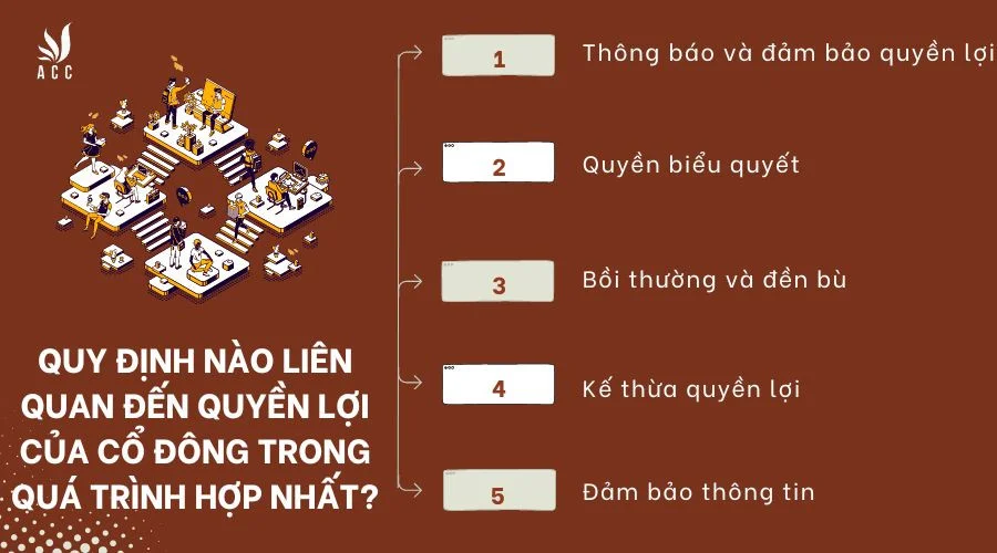 Quy định nào liên quan đến quyền lợi của cổ đông trong quá trình hợp nhất?