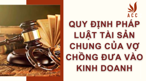 quy-dinh-phap-luat-tai-san-chung-cua-vo-chong-dua-vao-kinh-doanh