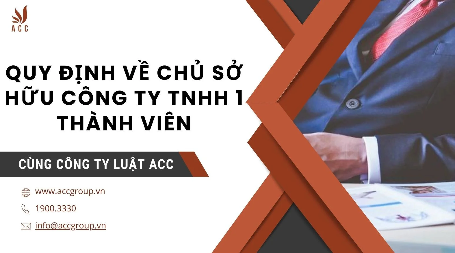 Quy định về chủ sở hữu công ty TNHH 1 thành viên