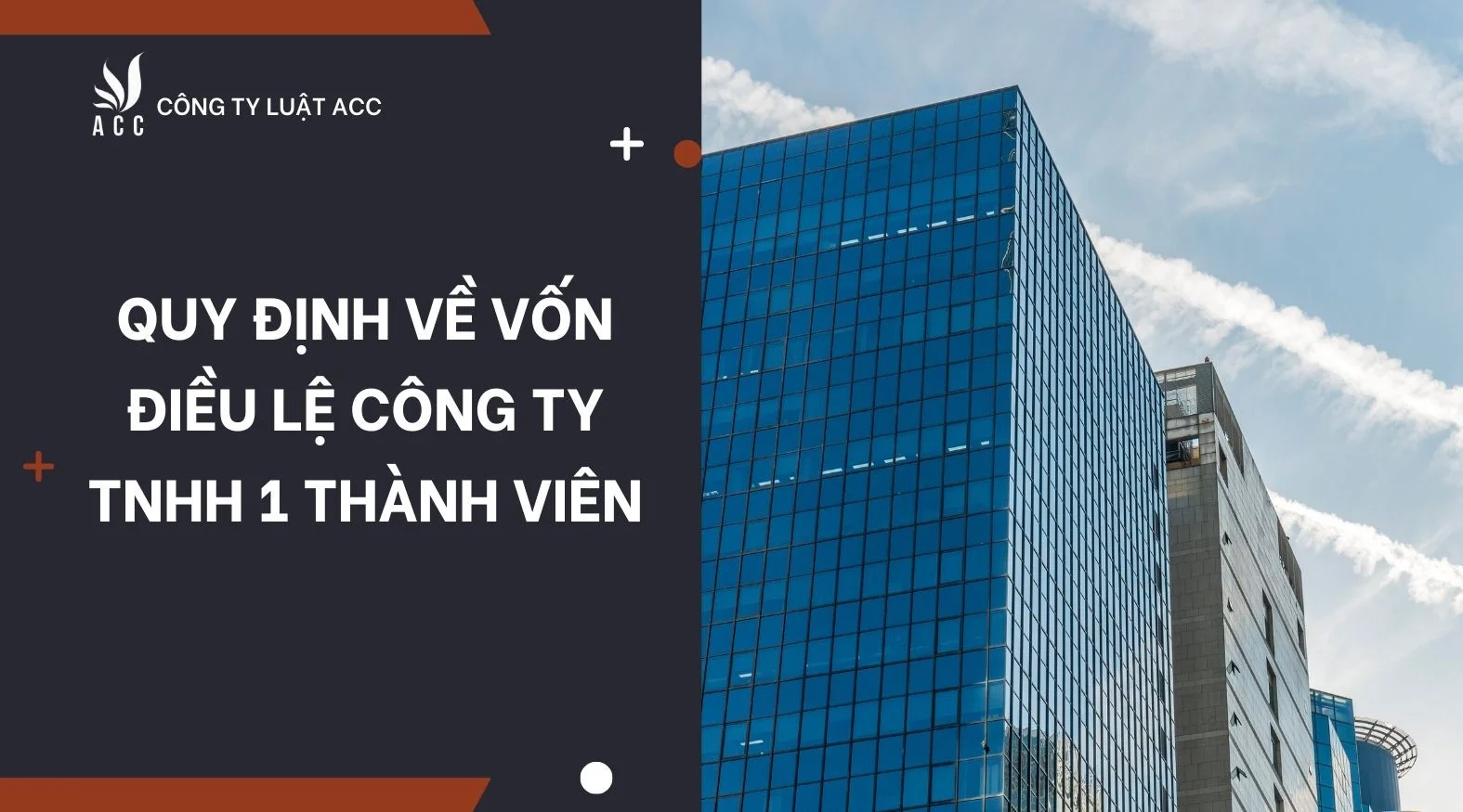 Quy định về vốn điều lệ công ty TNHH 1 thành viên