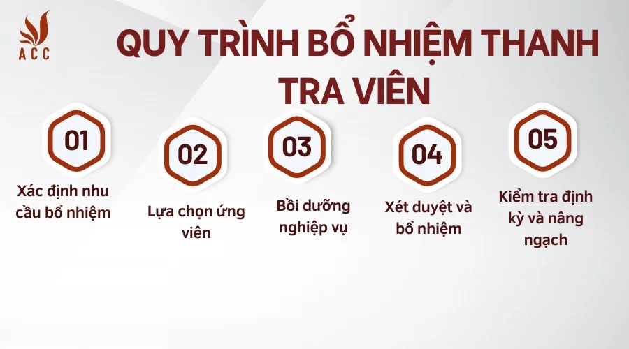 Quy trình bổ nhiệm thanh tra viên