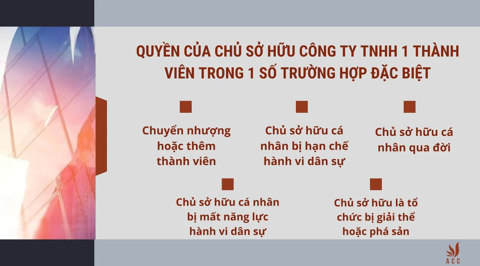 Quyền của chủ sở hữu công ty TNHH 1 thành viên trong 1 số trường hợp đặc biệt