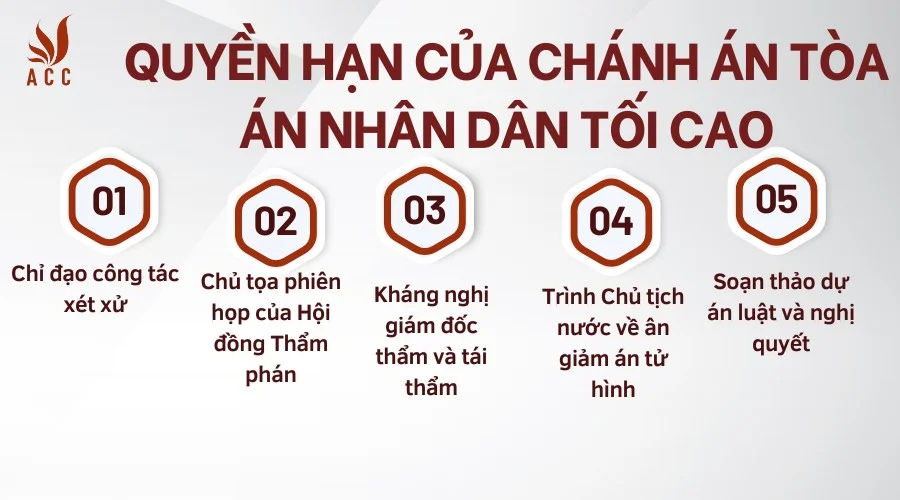 Quyền hạn của Chánh án toà nhân dân tối cao