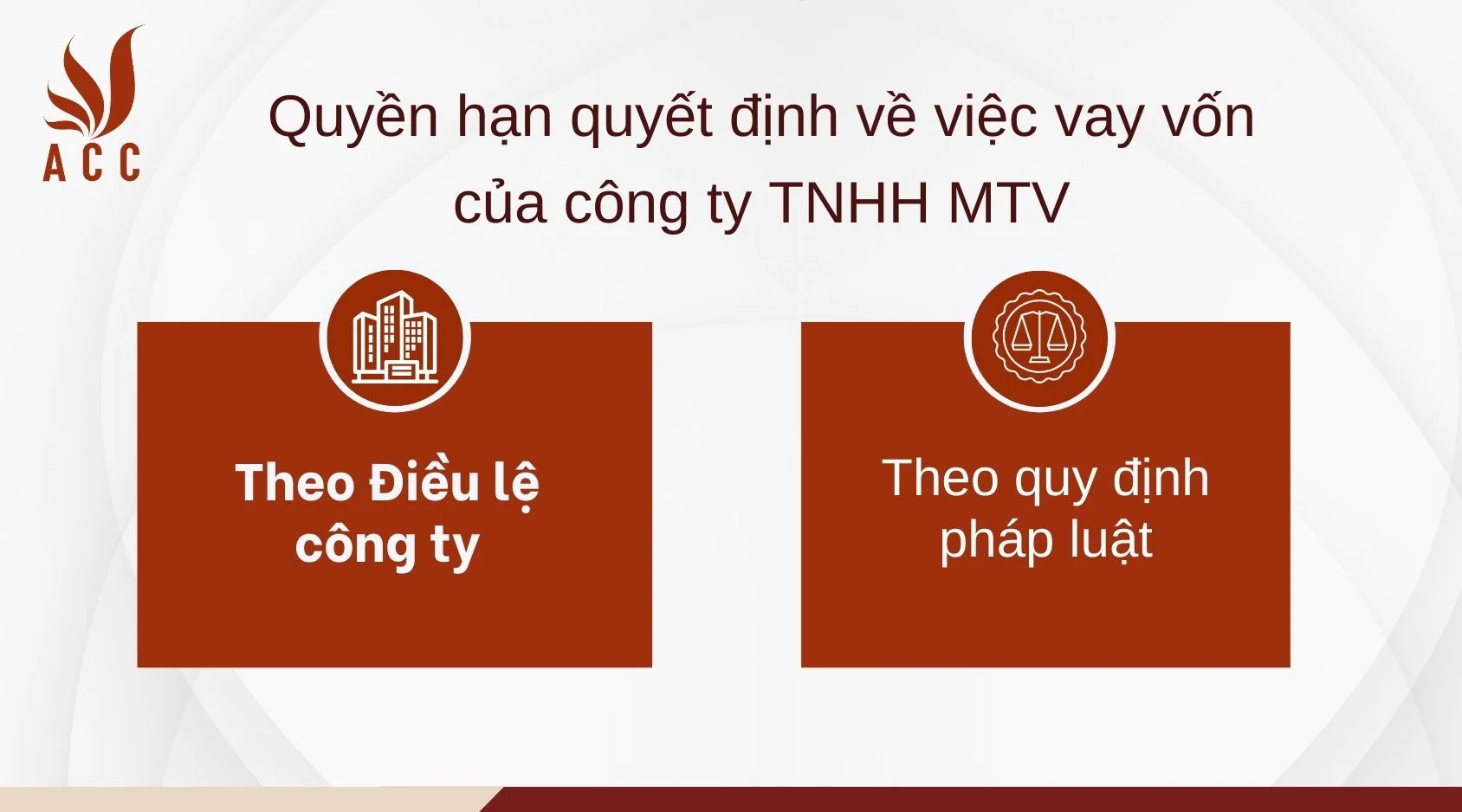 Quyền hạn quyết định về việc vay vốn của công ty TNHH MTV