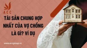 tai-san-chung-hop-nhat-cua-vo-chong-la-gi-vi-du