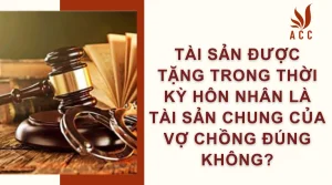 tai-san-duoc-tang-trong-thoi-ky-hon-nhan-la-tai-san-chung-cua-vo-chong-dung-khong