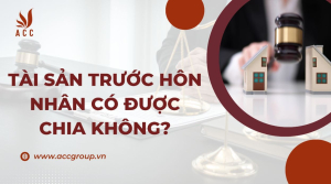 tai-san-truoc-hon-nhan-co-duoc-chia-khong