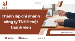 thanh-lap-chi-nhanh-cong-ty-tnhh-mot-thanh-vien