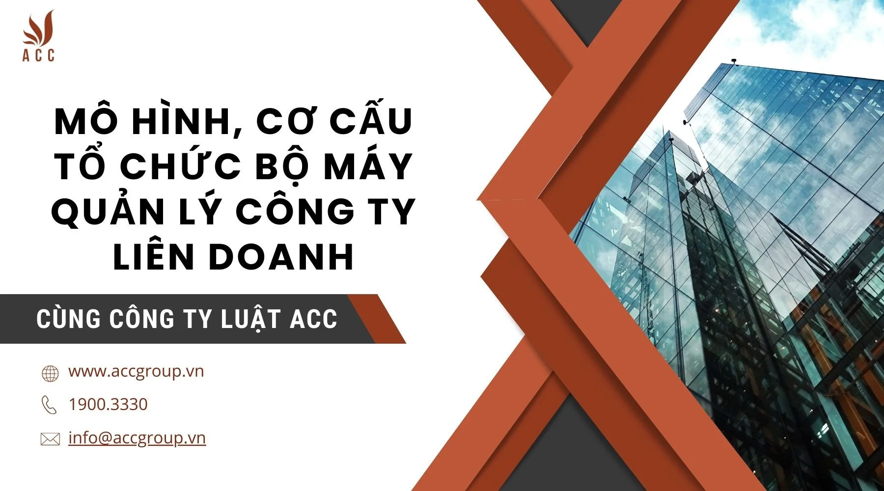 Mô hình, cơ cấu tổ chức bộ máy quản lý công ty liên doanh