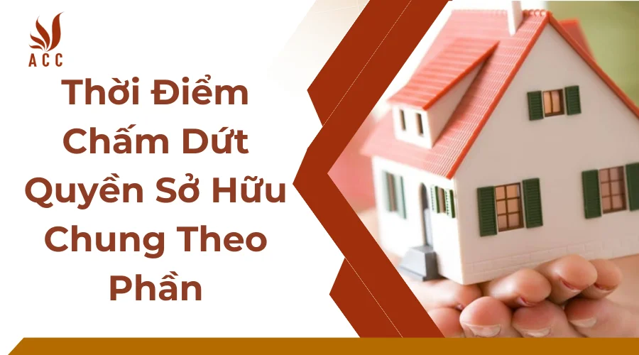 Thời Điểm Chấm Dứt Quyền Sở Hữu Chung Theo Phần