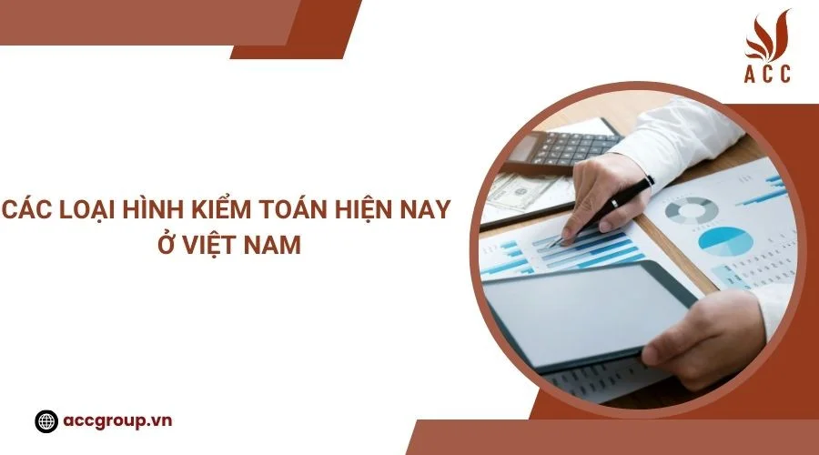 Các loại hình kiểm toán hiện nay ở Việt Nam