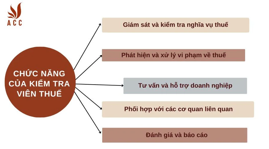 Chức năng của kiểm tra viên thuế