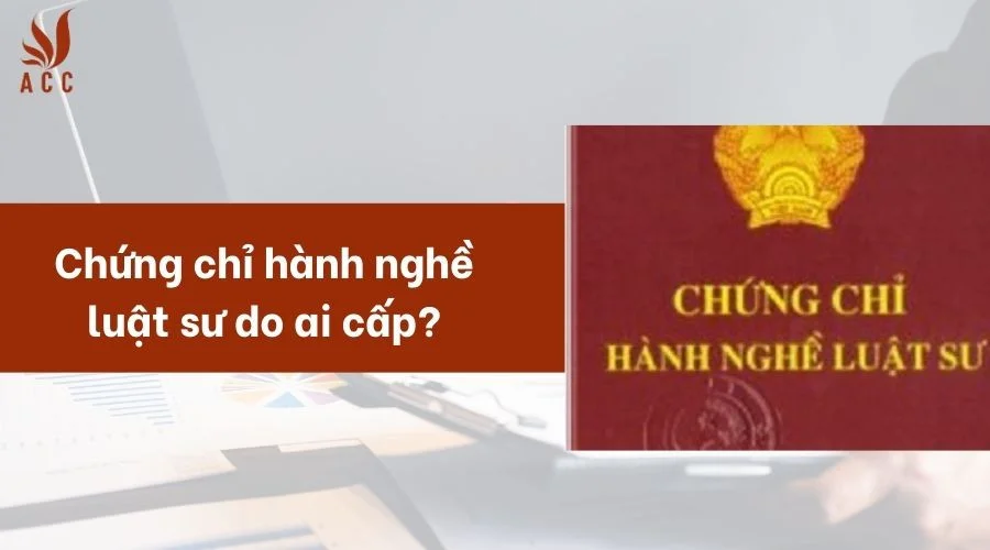 Chứng chỉ hành nghề luật sư do ai cấp?