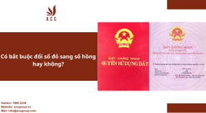 co-bat-buoc-doi-so-do-sang-so-hong-hay-khong