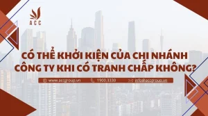 co-the-khoi-kien-cua-chi-nhanh-cong-ty-khi-co-tranh-chap-khong