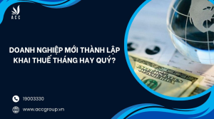 doanh-nghiep-moi-thanh-lap-khai-thue-thang-hay-quy