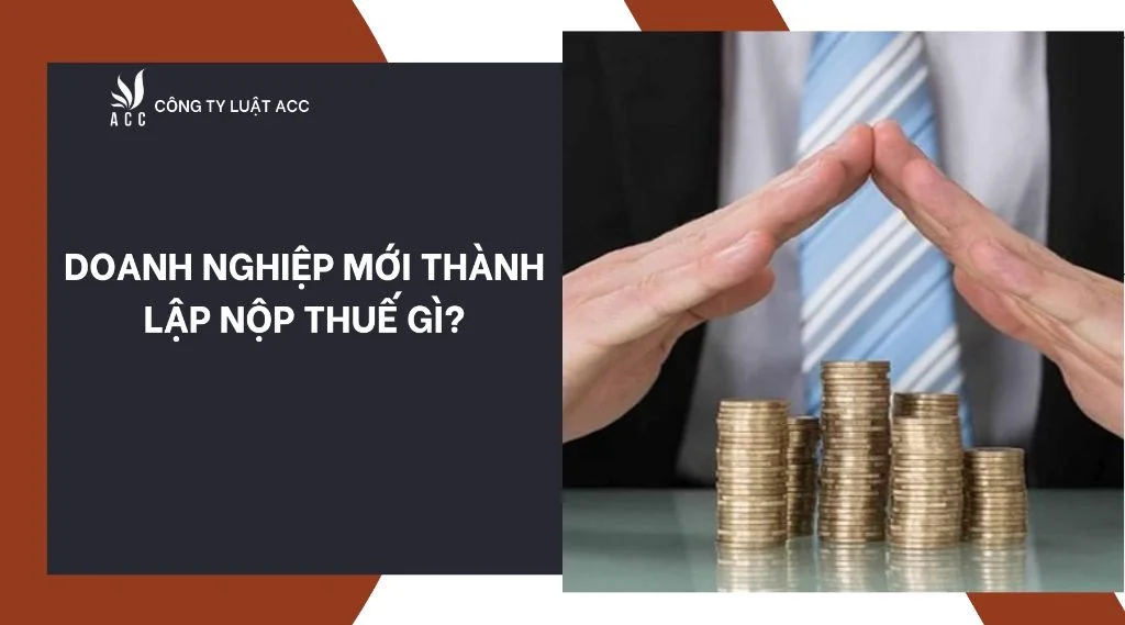 Doanh nghiệp mới thành lập nộp thuế gì?