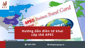 huong-dan-dien-to-khai-cap-the-apec-1