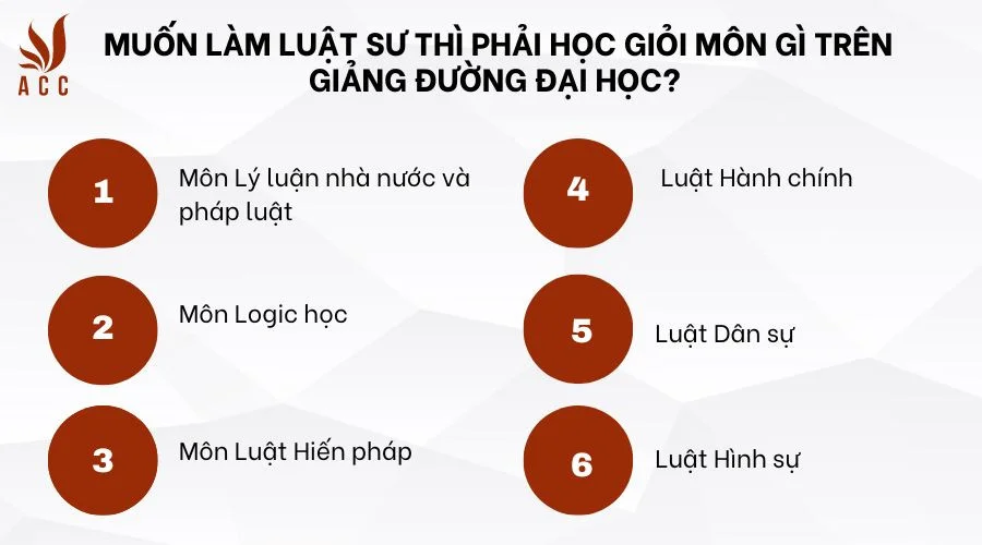 Muốn làm luật sư thì phải học giỏi môn gì trên giảng đường đại học?