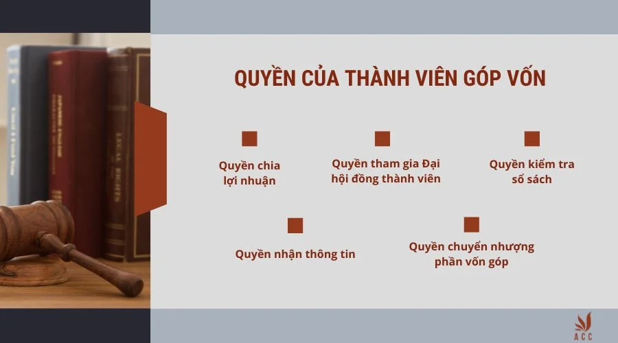 quyen-cua-thanh-vien-gop-von