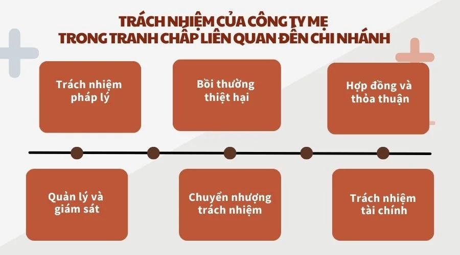 Trách nhiệm của công ty mẹ trong tranh chấp liên quan đến chi nhánh