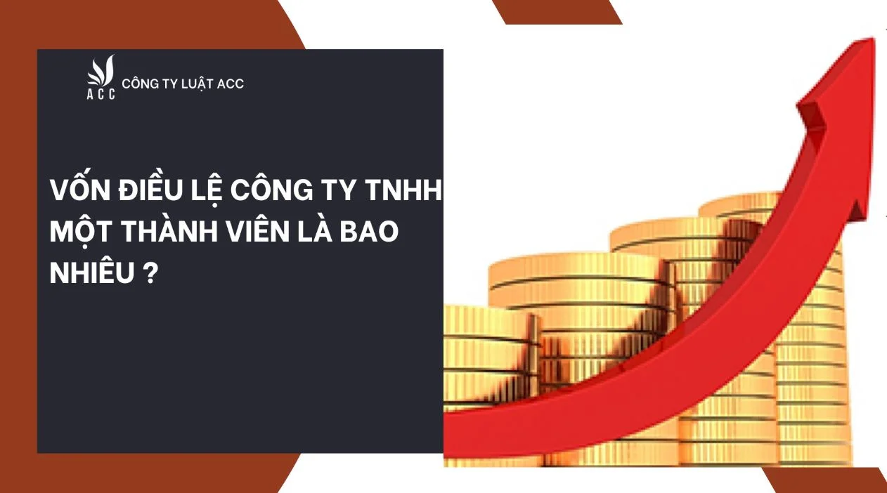 Vốn điều lệ của công ty TNHH Một thành viên là bao nhiêu?