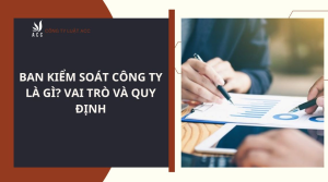 ban-kiem-soat-cong-ty-la-gi-vai-tro-va-quy-dinh