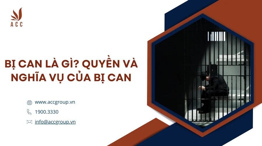 Bị can là gì? Quyền và nghĩa vụ của bị can