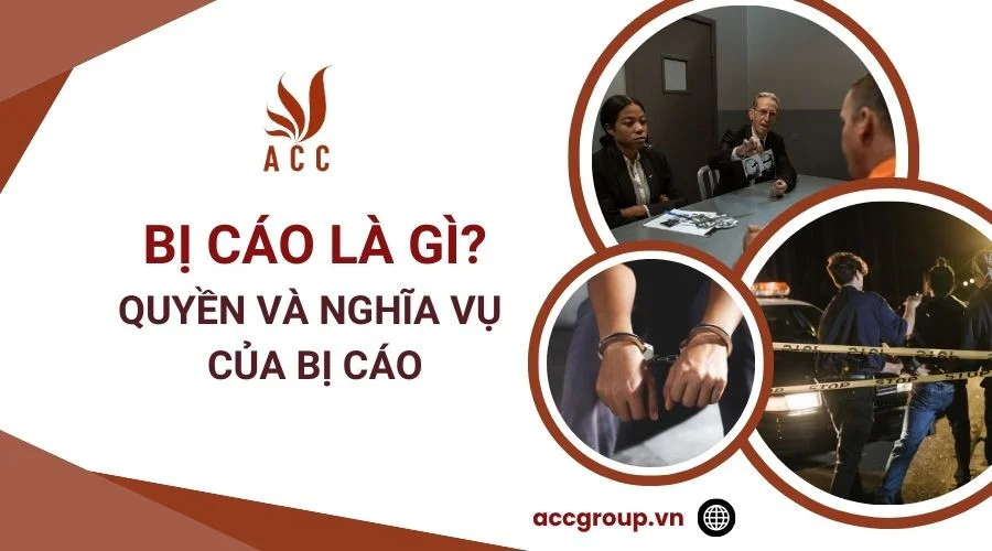 Bị cáo là gì? Quyền và nghĩa vụ của bị cáo