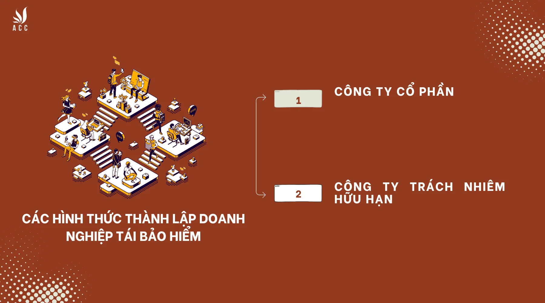 Các hình thức thành lập doanh nghiệp tái bảo hiểm