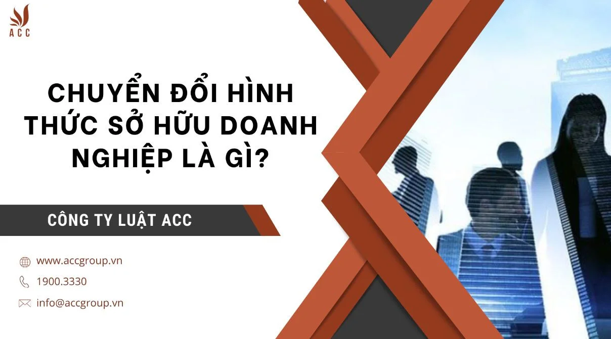 Chuyển đổi hình thức sở hữu doanh nghiệp là gì?