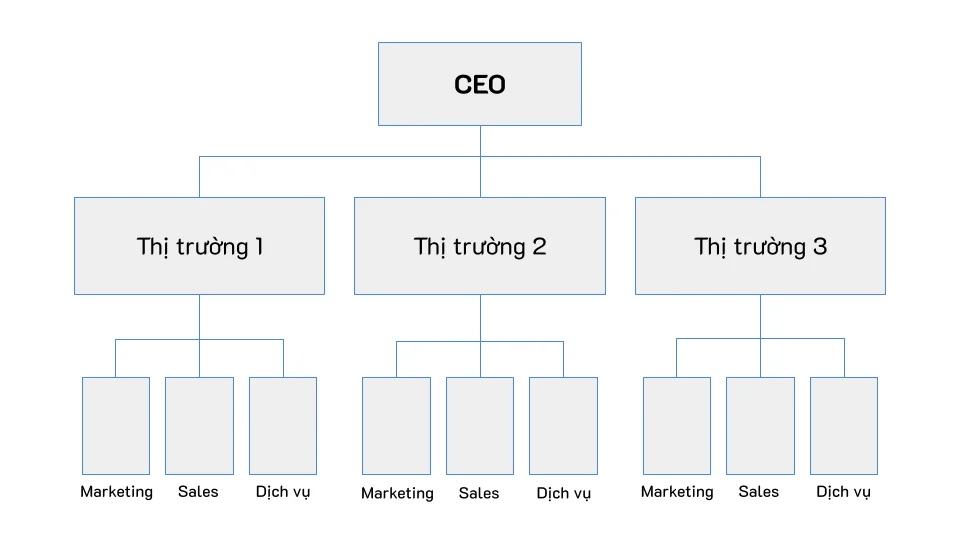 Cơ cấu tổ chức theo thị trường