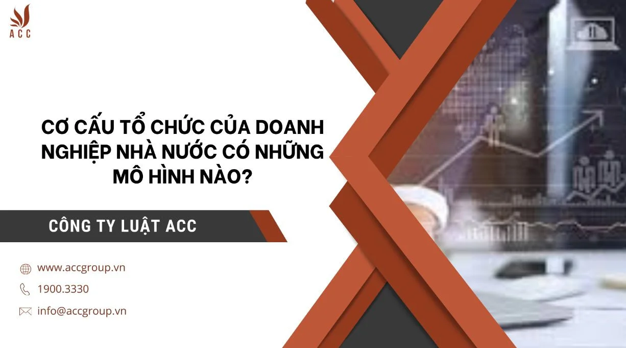 Cơ cấu tổ chức của doanh nghiệp nhà nước có những mô hình nào?