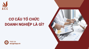 co-cau-to-chuc-doanh-nghiep-la-gi