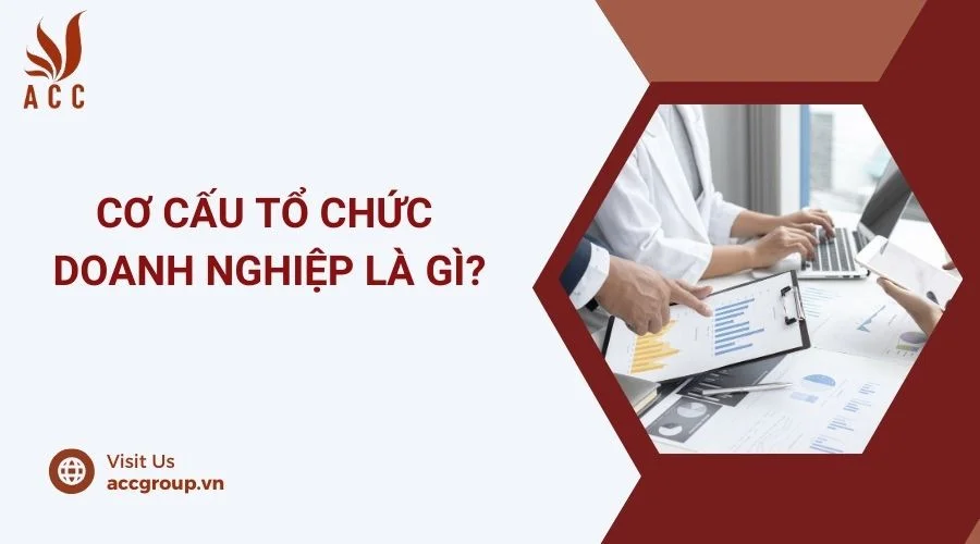 Cơ cấu tổ chức doanh nghiệp là gì?