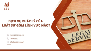 dich-vu-phap-ly-cua-luat-su-gom-linh-vuc-nao