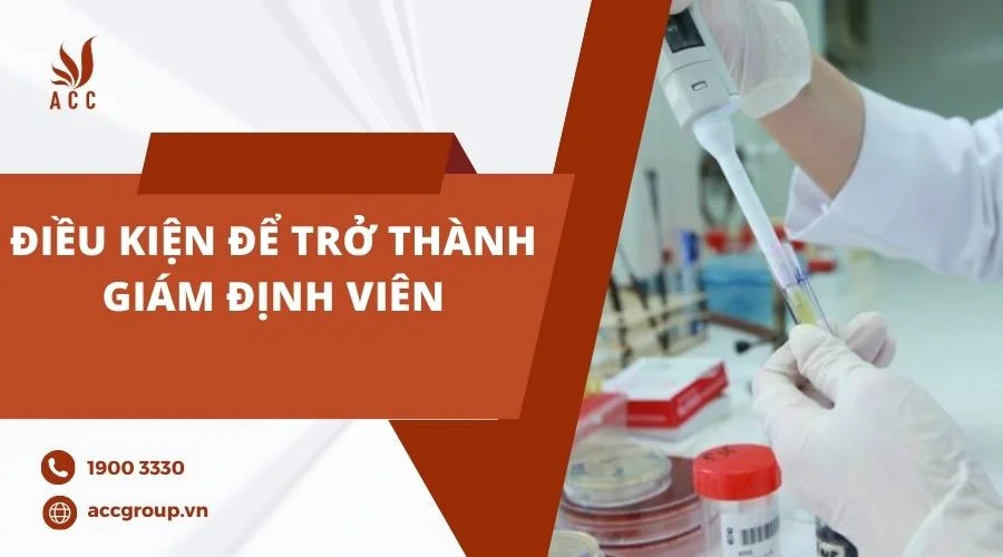 Điều kiện trở thành giám định viên