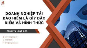 doanh-nghiep-tai-bao-hiem-la-gi-dac-diem-va-hinh-thuc