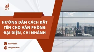 huong-dan-cach-dat-ten-cho-van-phong-dai-dien-chi-nhanh