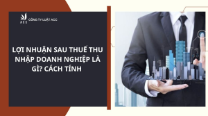 loi-nhuan-sau-thue-thu-nhap-doanh-nghiep-la-gi-cach-tinh