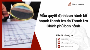 mau-quyet-dinh-ban-hanh-ke-hoach-thanh-tra-do-thanh-tra-chinh-phu-ban-hanh-1